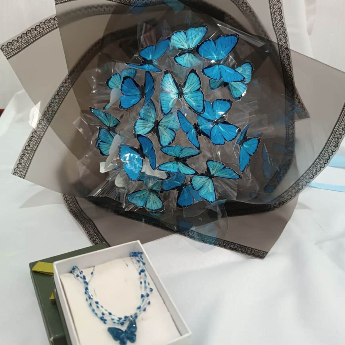 زیبایی طبیعت با لمس نور و حرکت