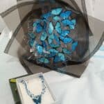 زیبایی طبیعت با لمس نور و حرکت