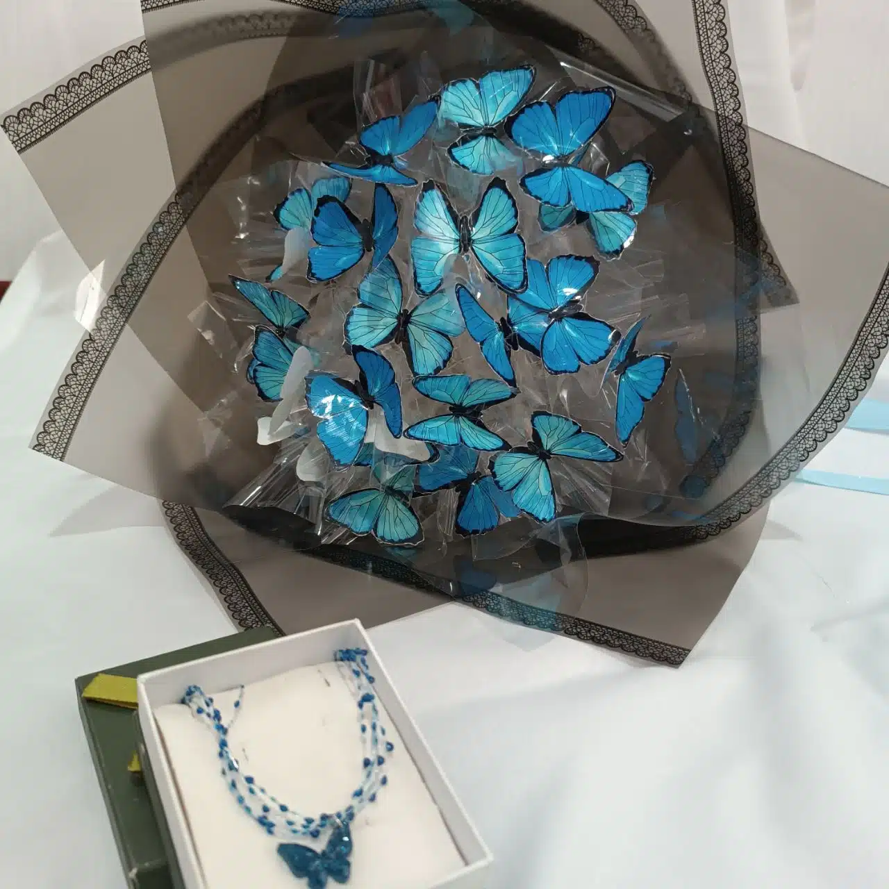 زیبایی طبیعت با لمس نور و حرکت